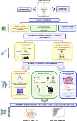 Gut Microbiota Ecology and Inferred Functions in Children With ASD Compared to Neurotypical Subjects